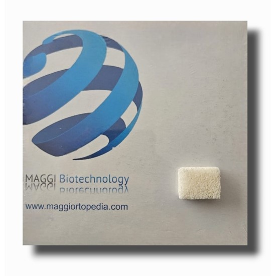 BİOPLANT; AT kaynaklı blok kemik ikamesi